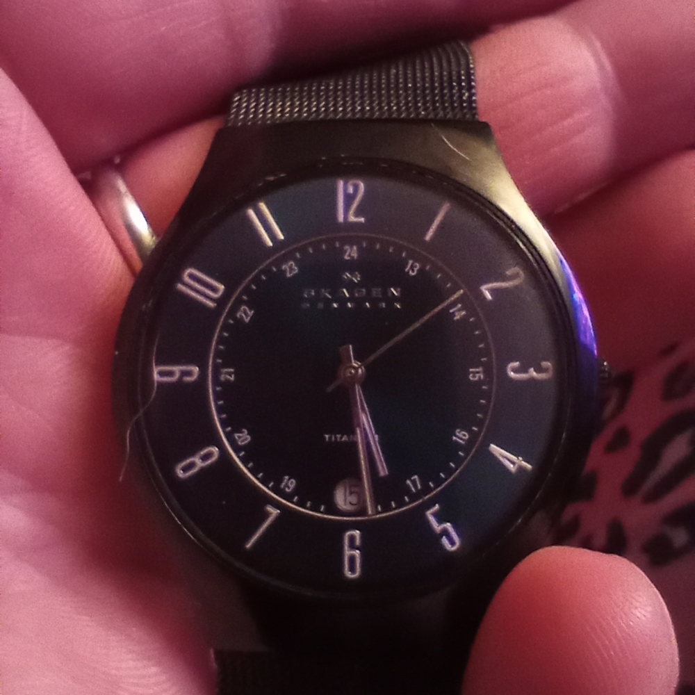 Skagen Swiss Made Watch